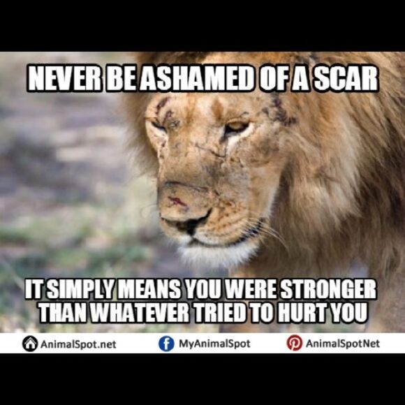 ISO Disney 50th Celebration McDonalds Toys For TRADE ONLY PFFS Girlsquad - Picture 6 of 15